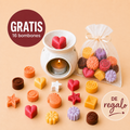 Kit quemador + 16 BOMBONES GRATIS