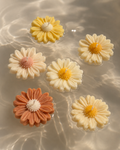 Margaritas flotantes